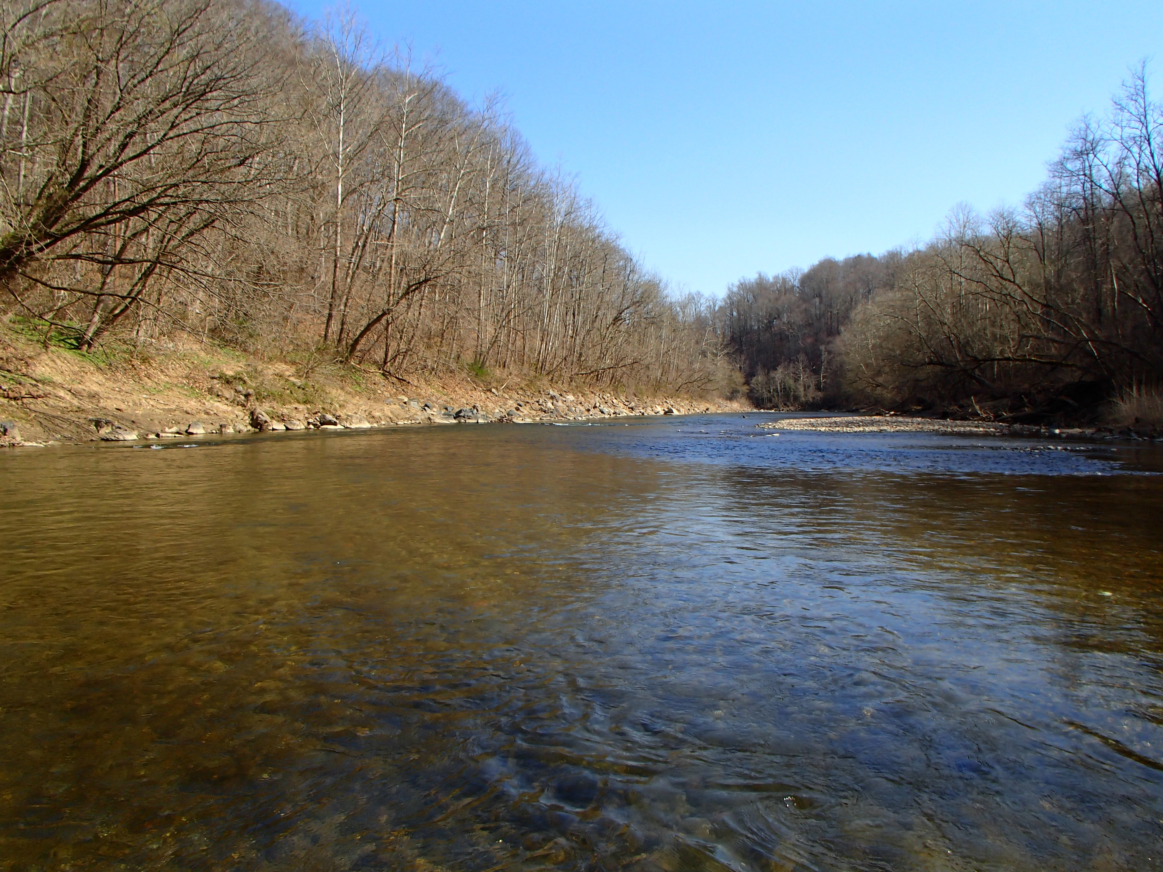 Field photo showing stream conditions at site PATL-B09-X-2016_midpoint looking downstream